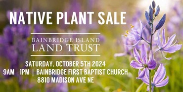 Bainbridge Island Plant Sale 