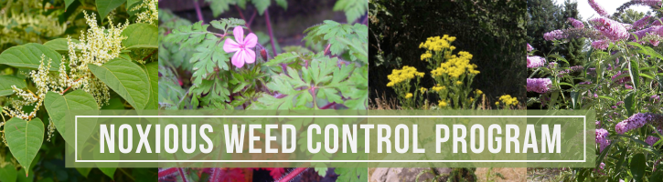 Noxious Weed Program Header