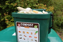 Food scrap in a green kitchen pail toolkit.