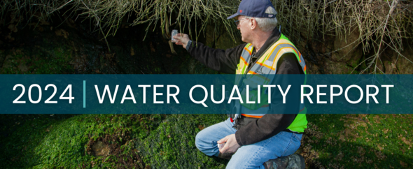 a man in a neon safety vest is sitting next to a stream holding a small bottle, testing the quality of the water.