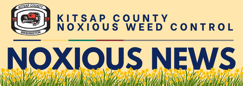 Noxious Weed Head May