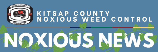 Noxious Weeds Newsletter Summer Header