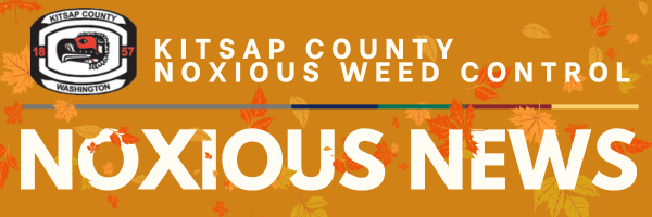 Noxious Weed Banner Fall