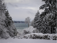 Snowy with a View - Image from Canva 