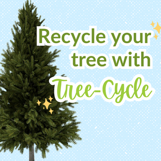 Recycle your tree with Tree-Cycle