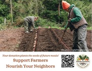 Farmers in field planting