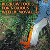 tool lending graphic