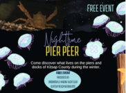 Pier Peer Event photo