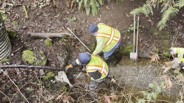 Horizon culvert