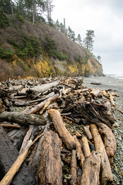 Bluffs, beach, driftwood