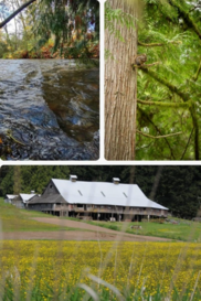Three photos one with running water, one with a squirrel and the last with a barn.