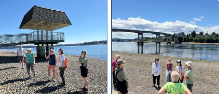 June Beach Walk 