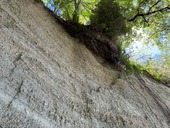 Bluff in Bremerton - looking up 