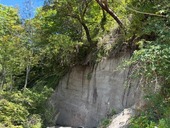 Bluff in Bremerton 1 