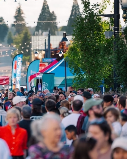 fan zone