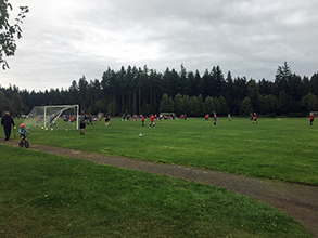 South Kitsap Regional ballfield