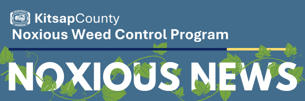 Noxious News Banner