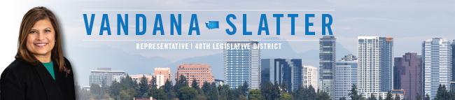 Vandana Slatter header