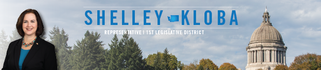 Shelley Kloba 2019 banner