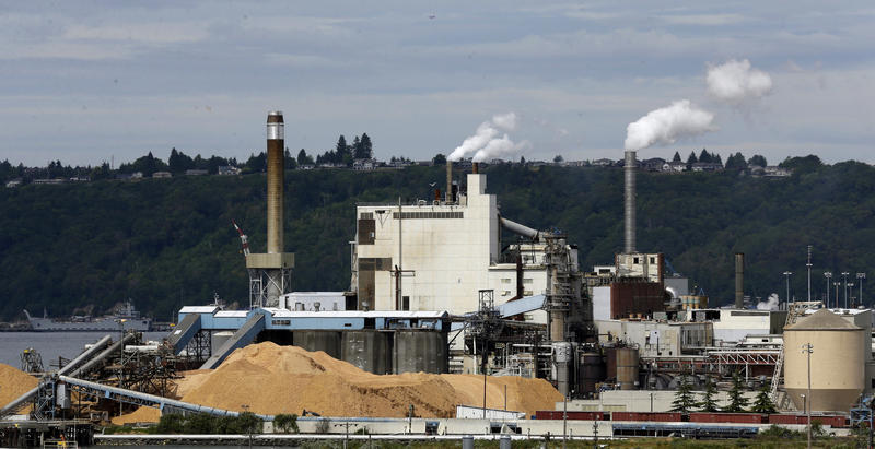 Wood chips at a paper mill near Tacoma, WA
