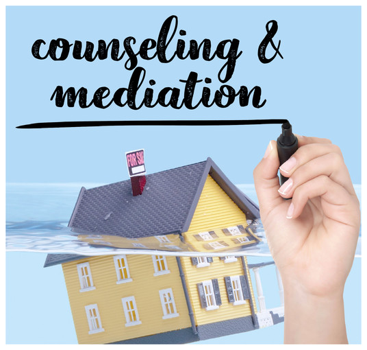 counseling and mediation FFA
