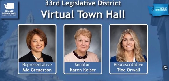 33rd LD virtual town hall