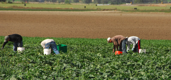 Farmworkers