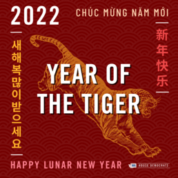 Lunar New Year graphic