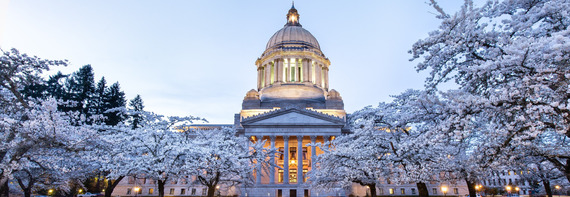 capitol bloom twilight