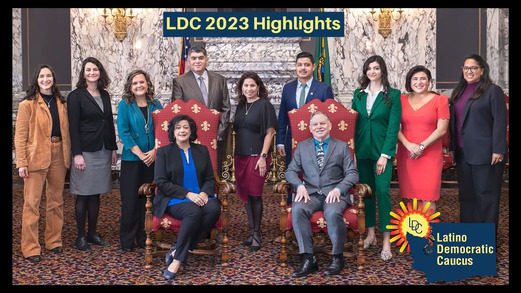 LDC Highlights video
