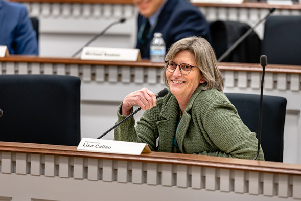 Rep. Callan in a committee hearing