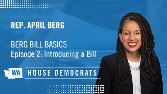 Berg Bill Basics 2