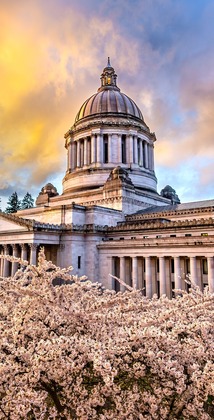 Capitol spring sunset