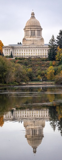 WA Capitol lake reflection