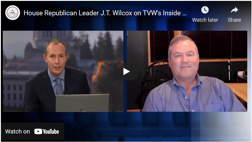 Rep. Wilcox screen grab