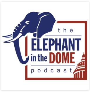 Elephant in the Dome