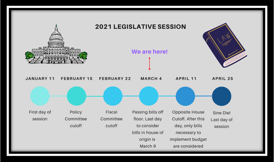 legislative timeline