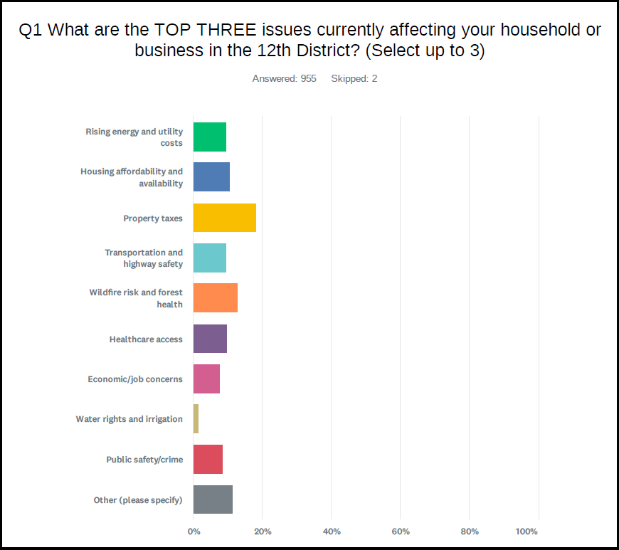 Survey - top 3 issues