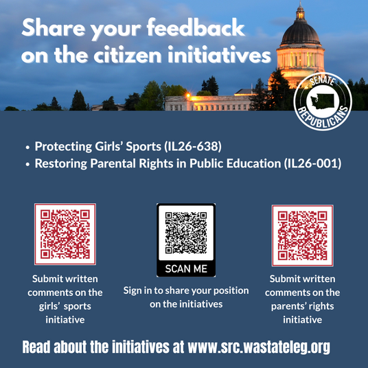 custom initiative graphic