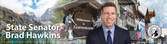 Leavenworth e-news banner