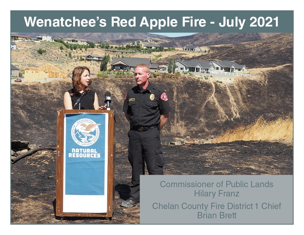 Red Apple Fire - Hilary Franz 2021