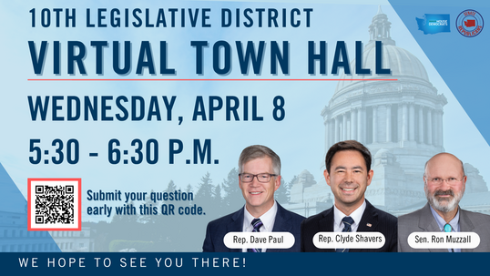 Virtual Town Hall