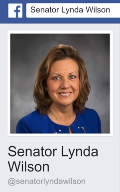 Senator Lynda Wilson Facebook