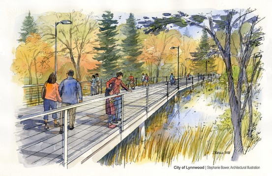 Boardwalk Through Wetland