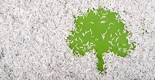 shredded paper used to display image of tree