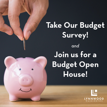 Budget Survey