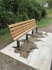 Vandalized Bench