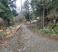Crews addressing the storm damage in one of the parks