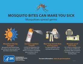 Mosquito infographic