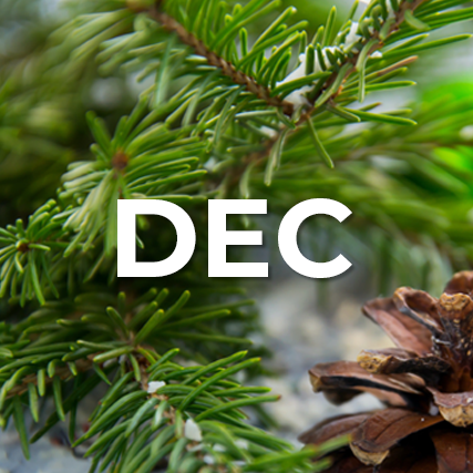 DEC in white letters on a background of fir tree and pinecone